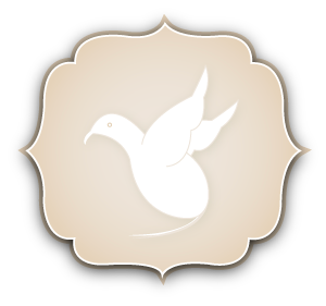 Bird rock massage studio favicon