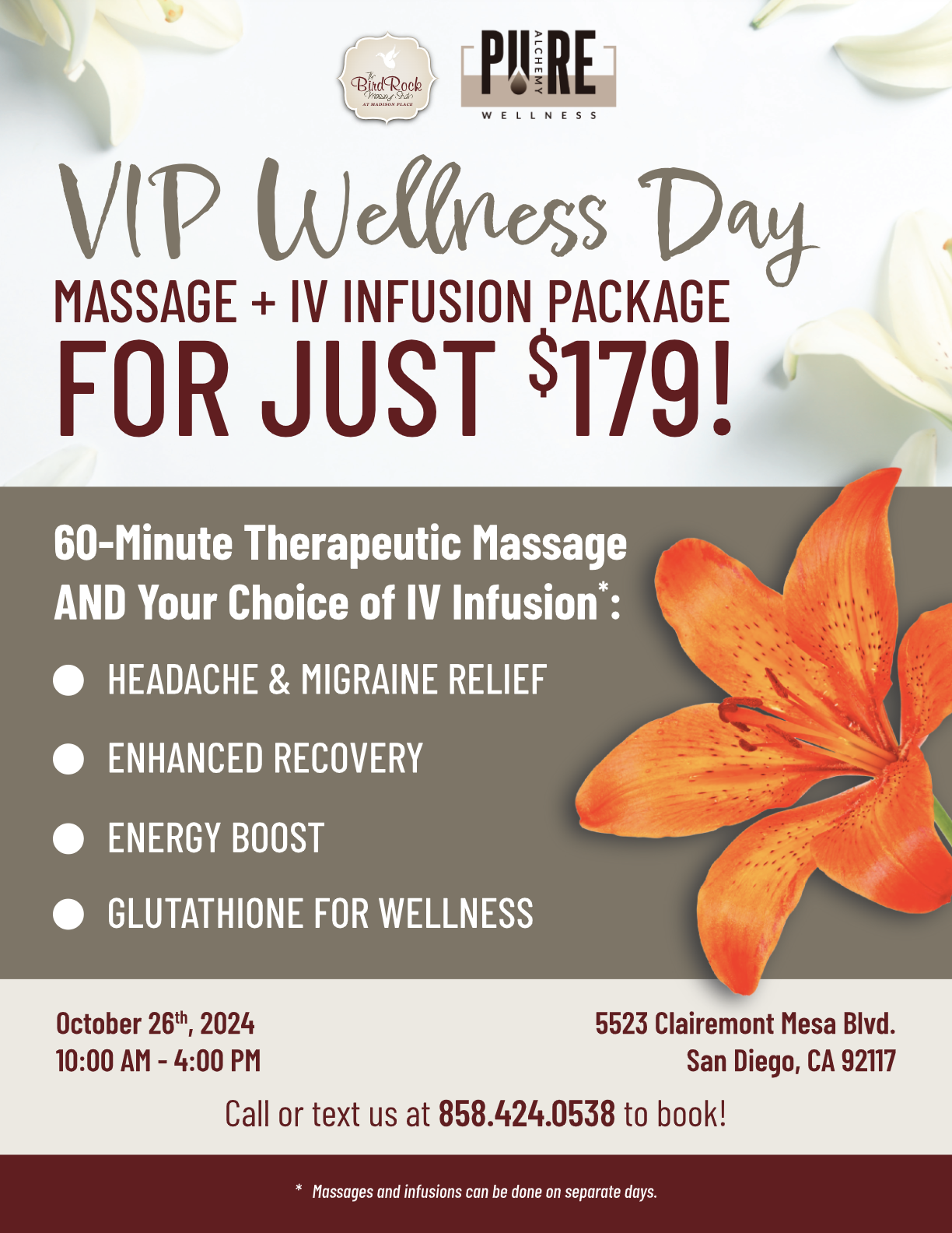 VIP Wellness Day